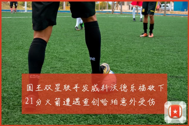 国王双星联手发威科沃德乐福砍下21分火箭遭遇重创哈珀意外受伤