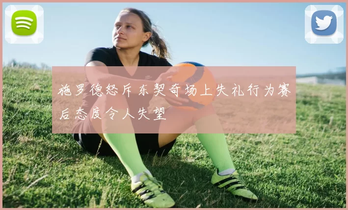 施罗德怒斥东契奇场上失礼行为赛后态度令人失望
