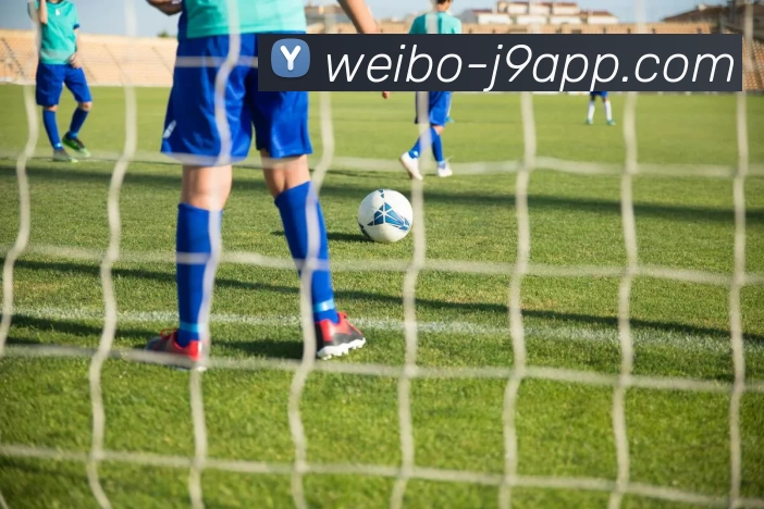九游会APP 封面图